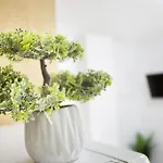 Apartamento Danoe 3