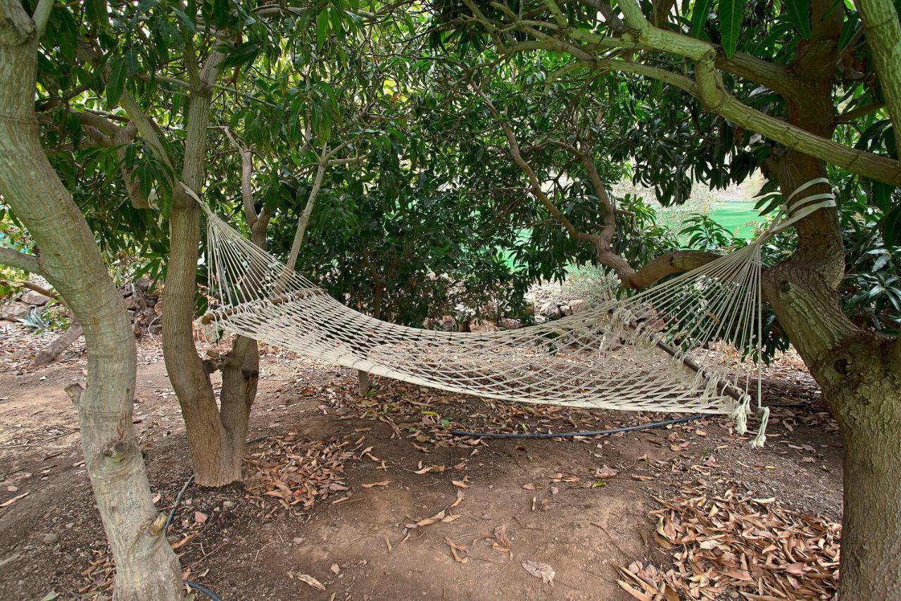 Villa Finca Vega Ayagaures San Bartolomé