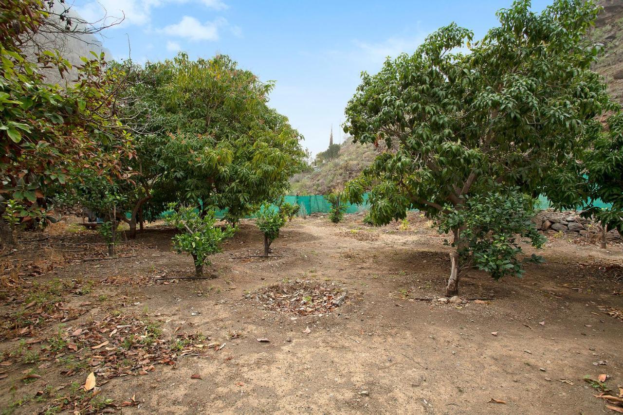 Finca Vega Ayagaures * San Bartolomé