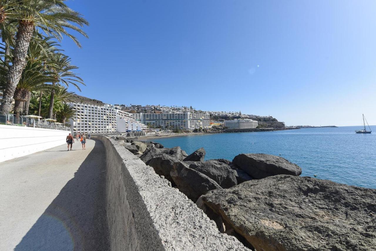 Canarios 629 By Villagrancanaria