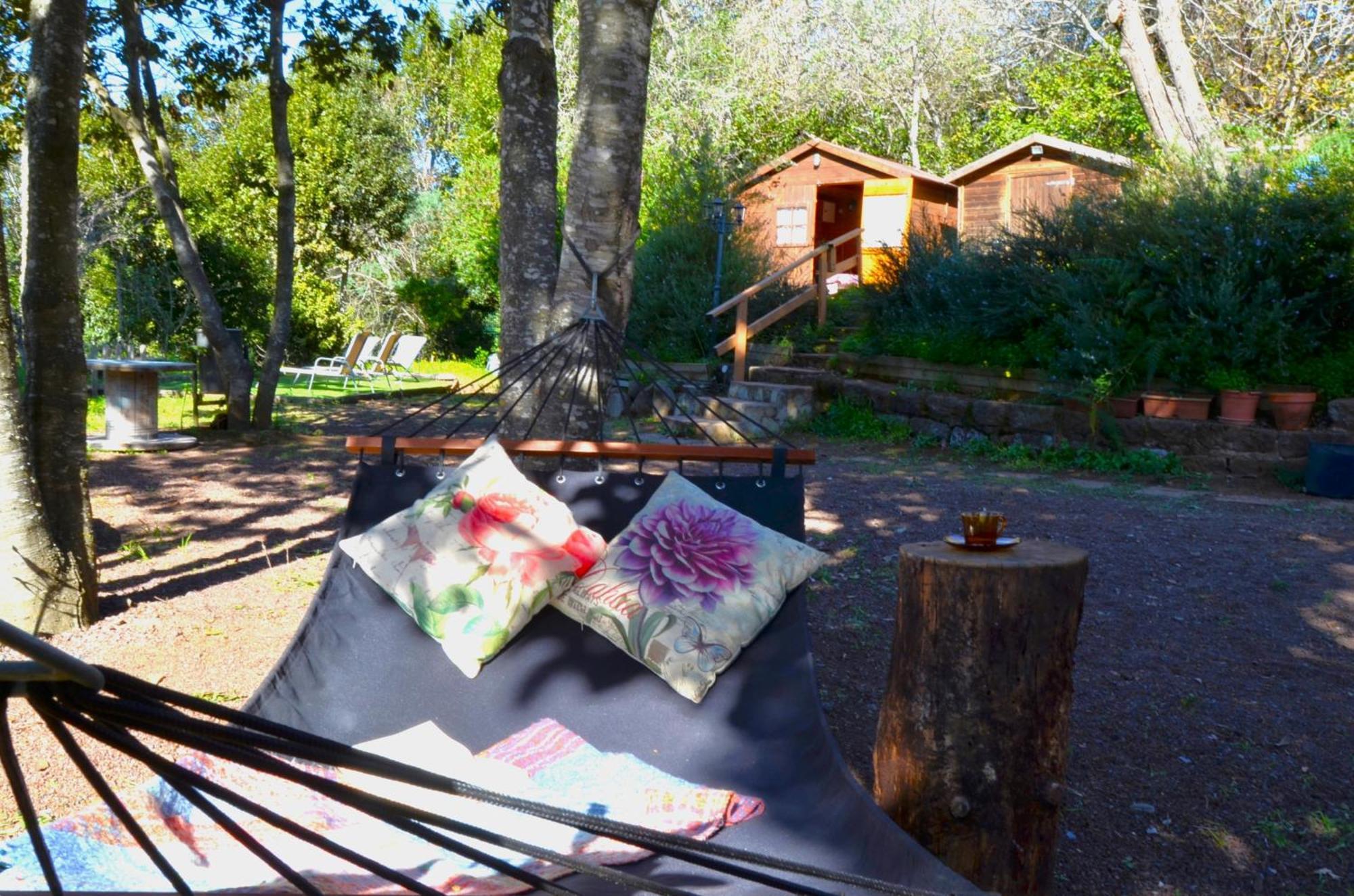 Сasa de vacaciones Sombra Del Laurel Valleseco