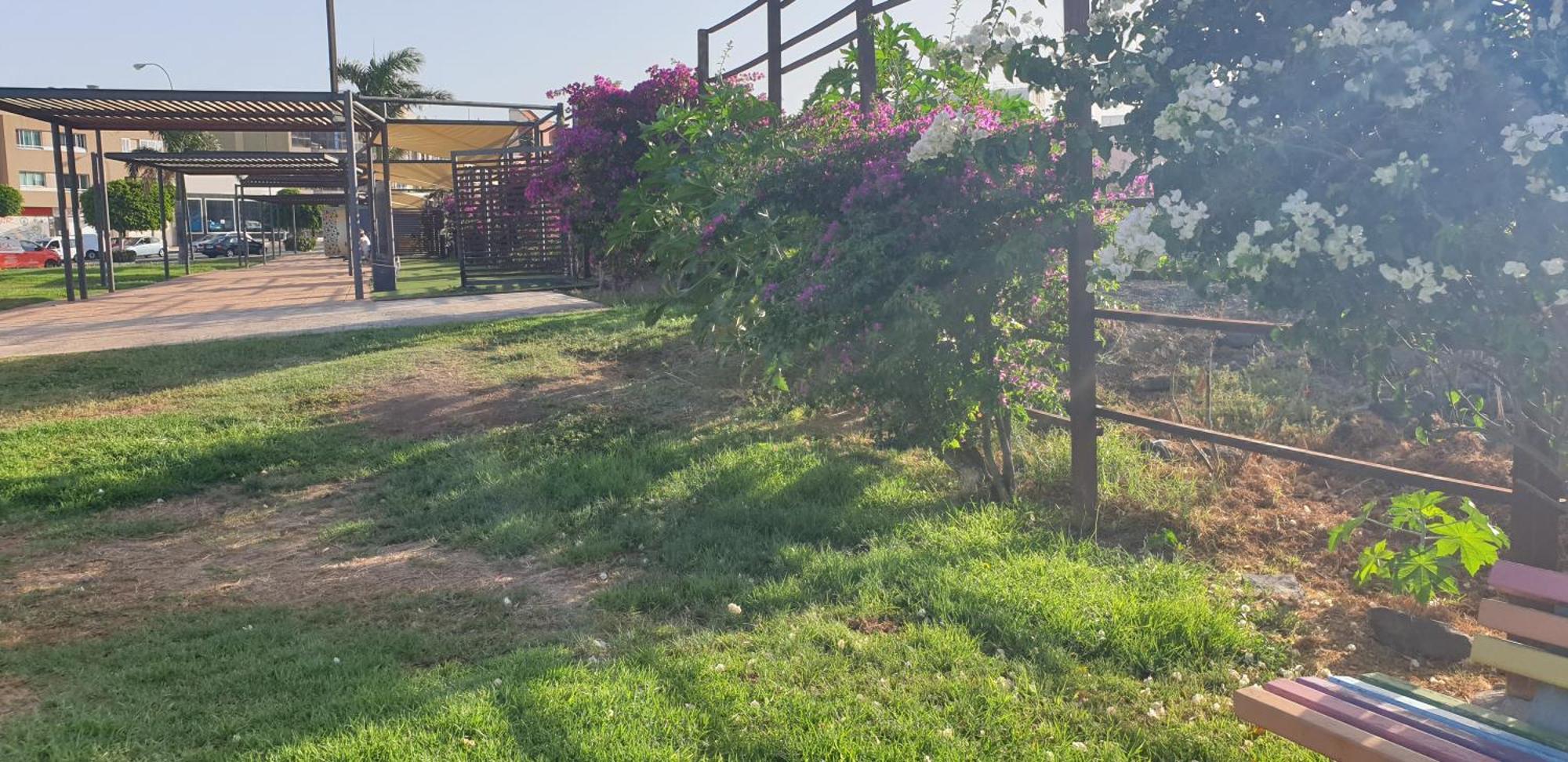 Atico Carrizal