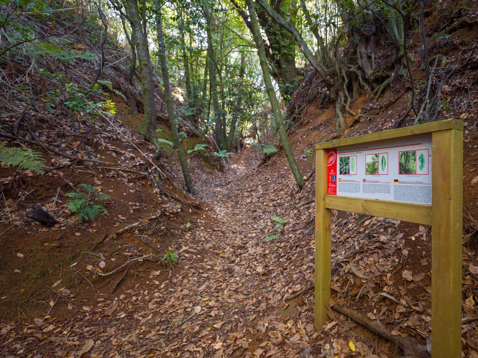 Sombra Del Laurel * Valleseco