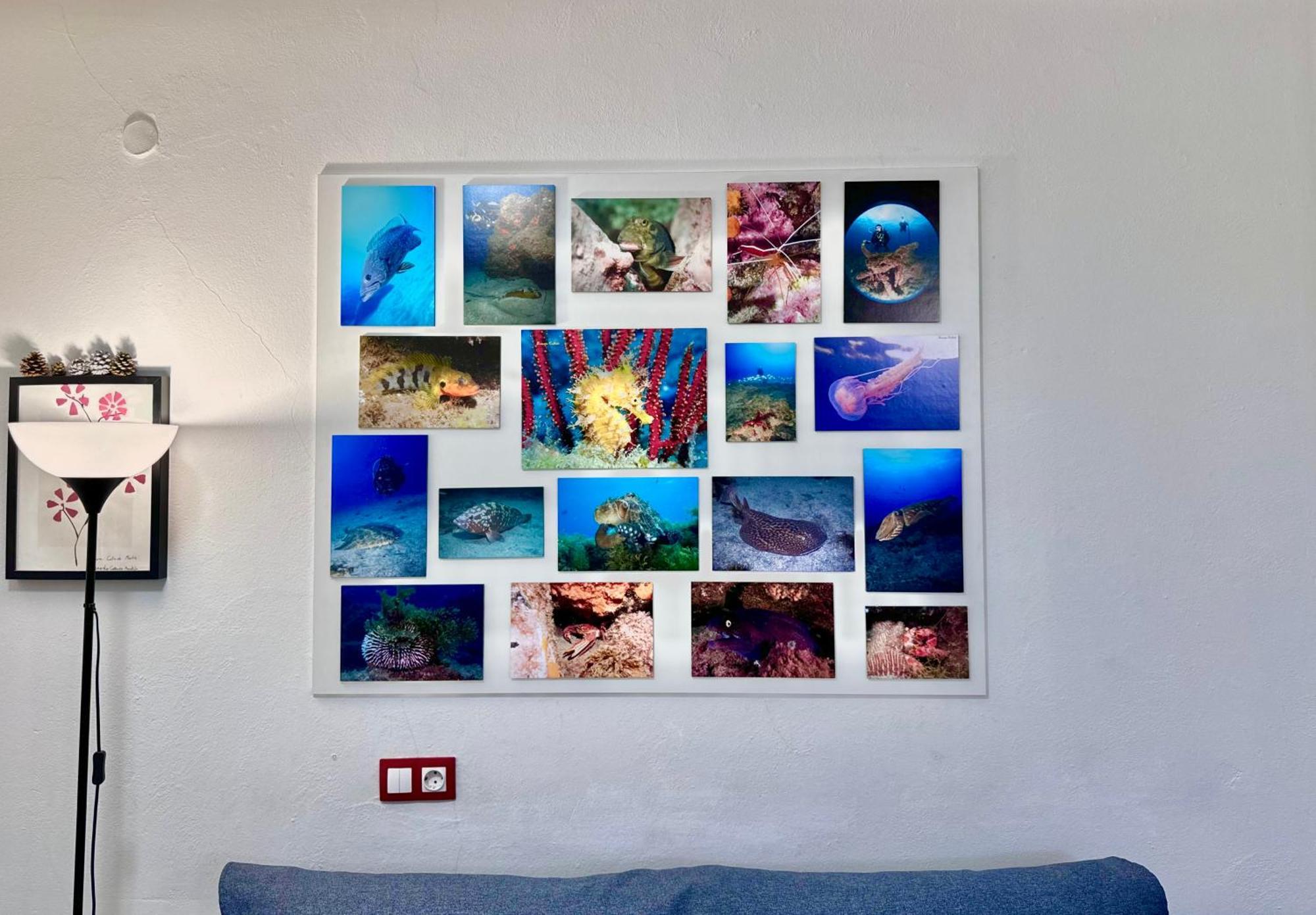 Apartamento Black Loft
