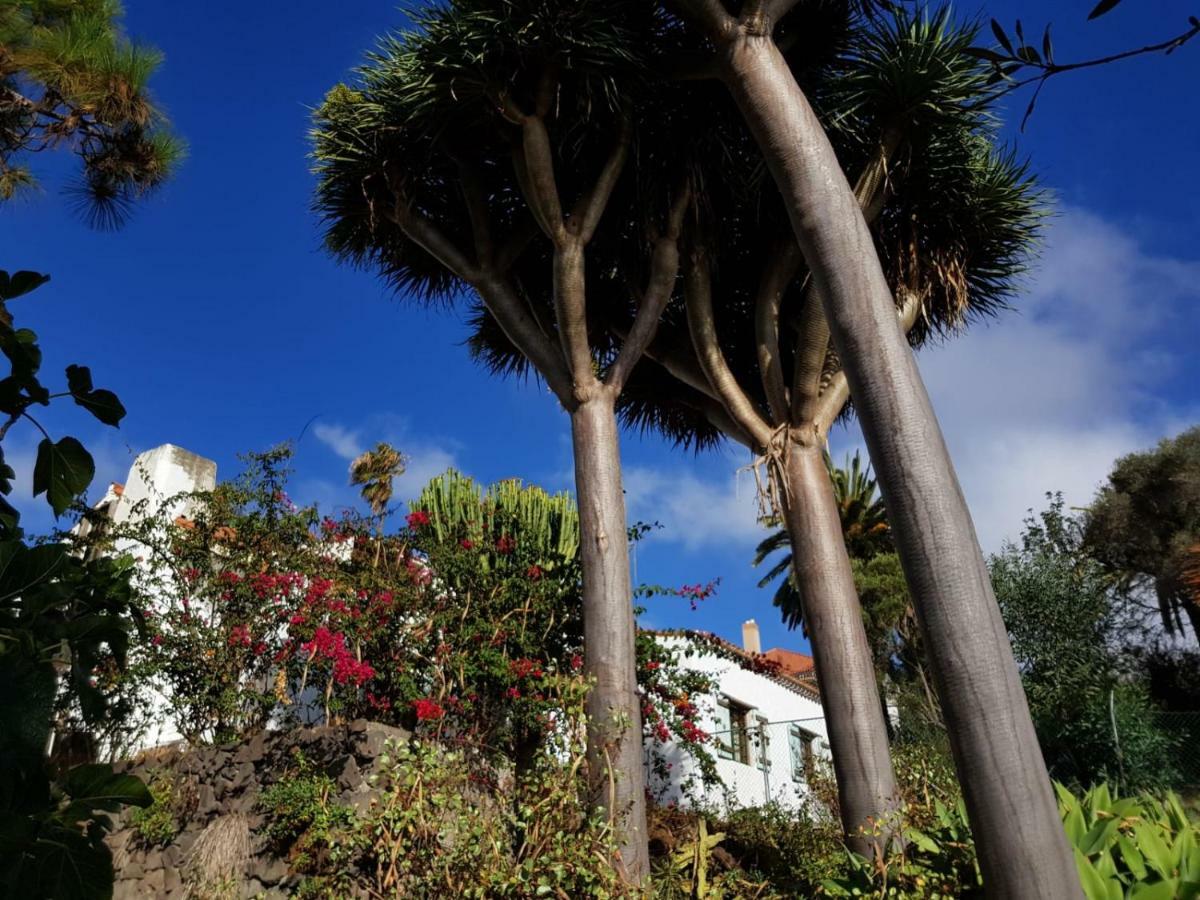 Holiday home Vv Monte Lentiscal 