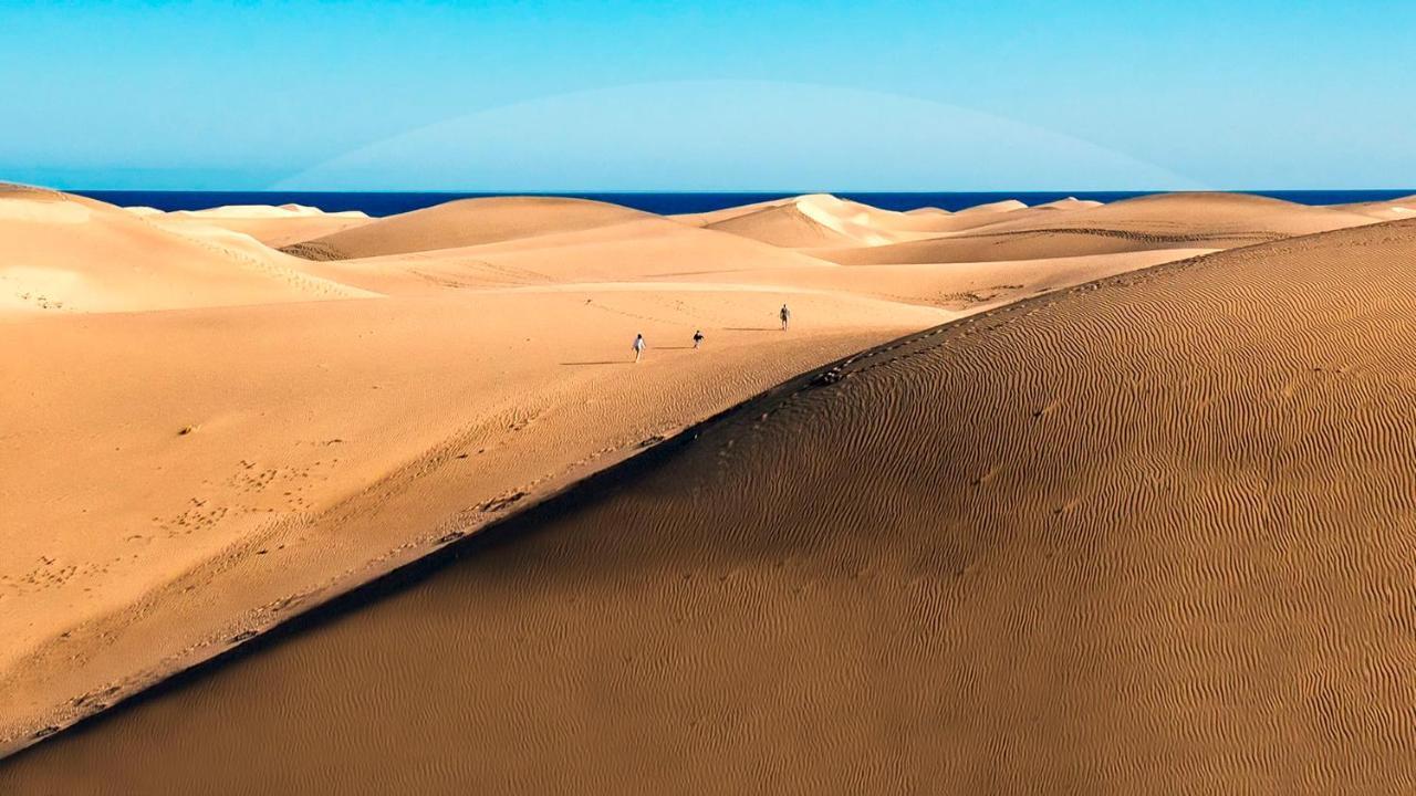 Vv Monte Lentiscal 