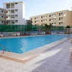 Sunny Cactus Garden Apartment 150M From Beach, Fast Fiber Wifi