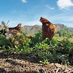 Mogán Soria Las Majadillas 2