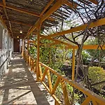 Finca Fani 4
