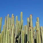 La Isla 6 By Villagrancanaria