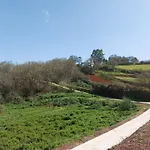 Naturacanaria - Flor de mundo