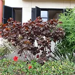 Salineta\'S Home