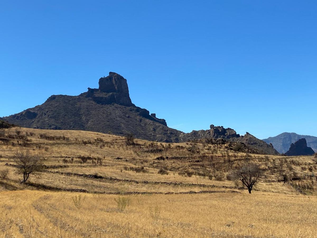 Vacacional La Tea The Location And The Views Appartamento Tejeda (Gran Canaria)