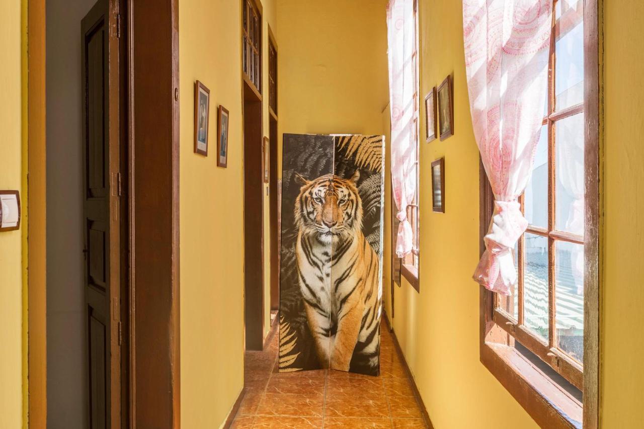 Casa Pollo Buen Lugar *
