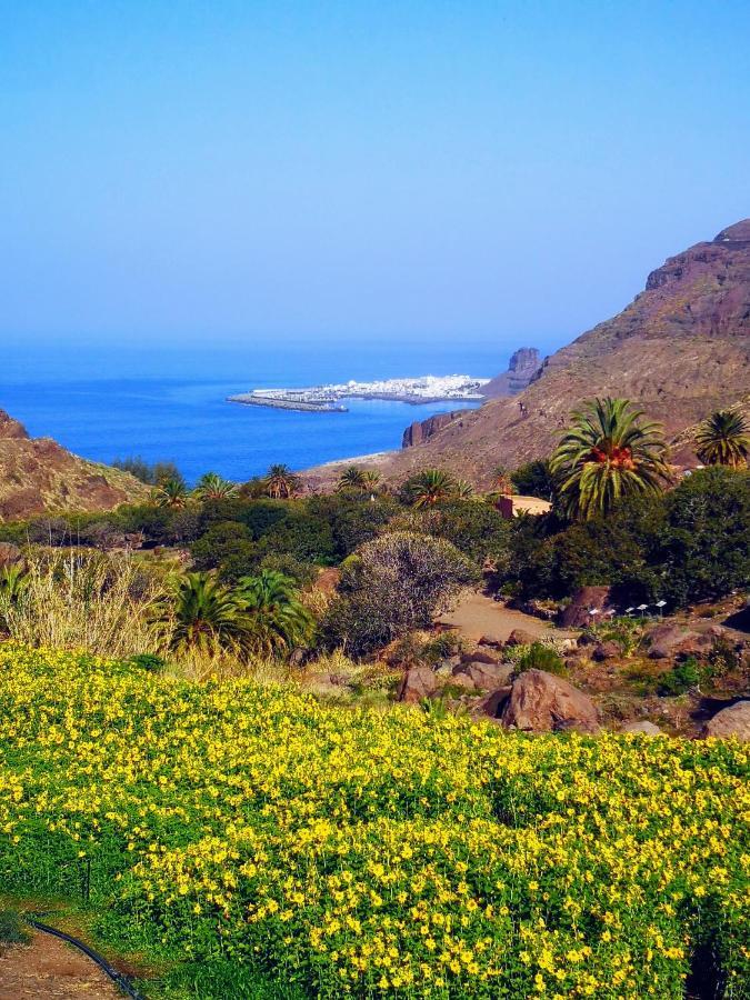 Casa vacanze La Palmera1 Casa Al Primer Piso Con 2 - Two Bedroom House On The First Floor --- La Palmera 2 Casa En Planta Baja Con 1 Dormitorio, One Bedroom House On The Ground Floor Agaete (Gran Canaria)