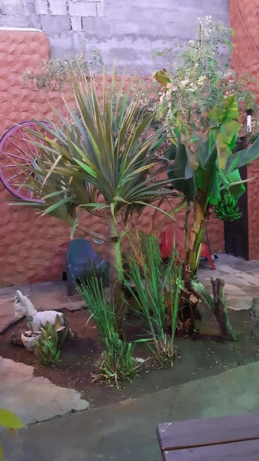 El Burro Grupos Agüimes