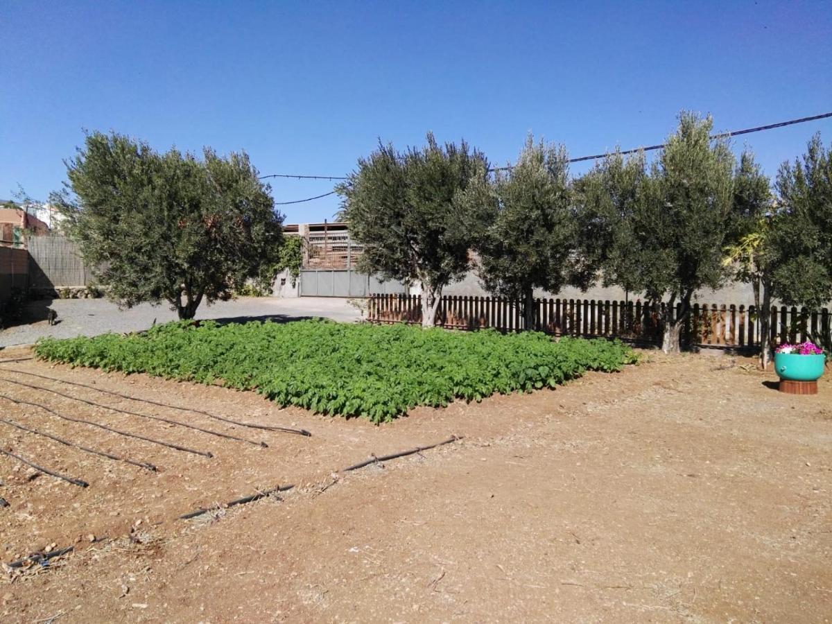 La Casita Del Naranjo Holiday home *