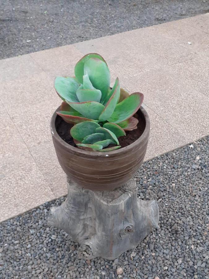 Canarias Telde