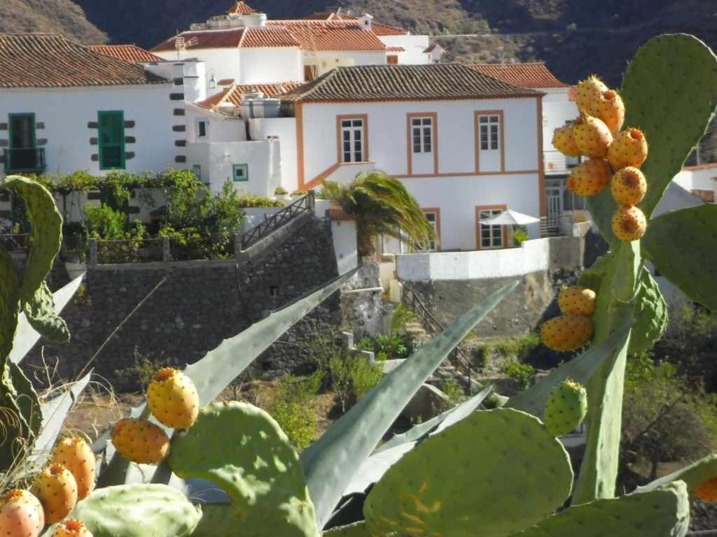 Holiday home Cascaras Gran Canaria