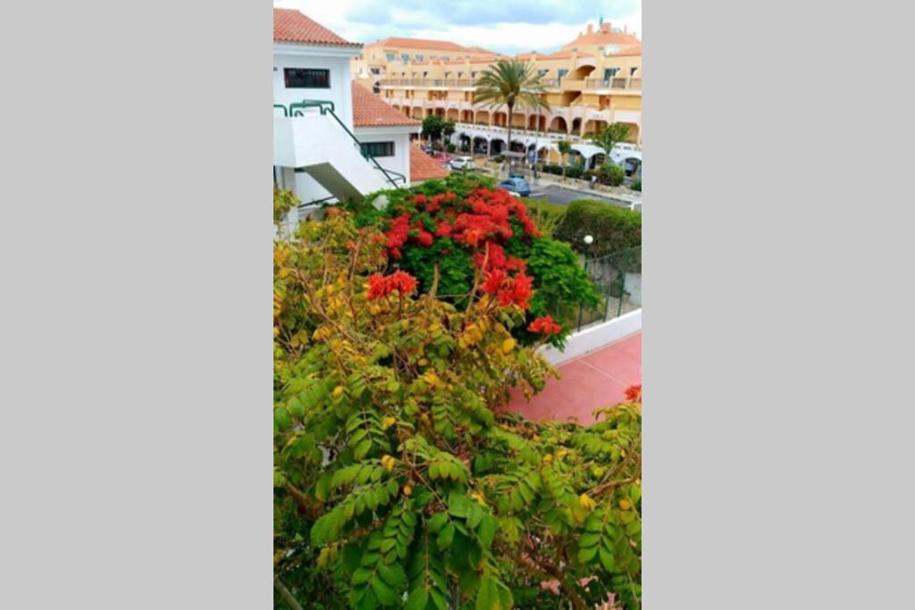 Surycan, Beautiful In Maspalomas Appartamento Maspalomas (Gran Canaria)