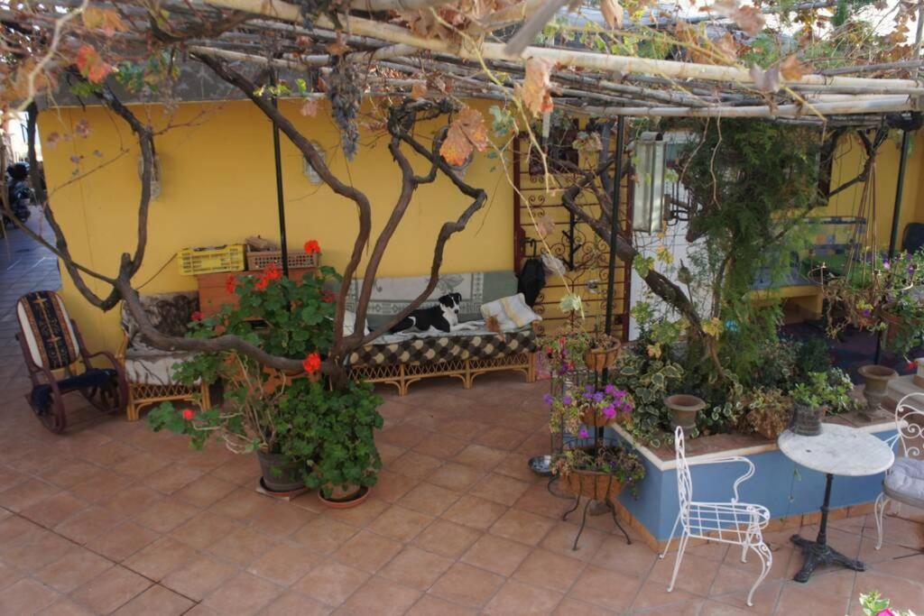 Cortez 2 Apartment San Bartolome de Tirajana (Gran Canaria)