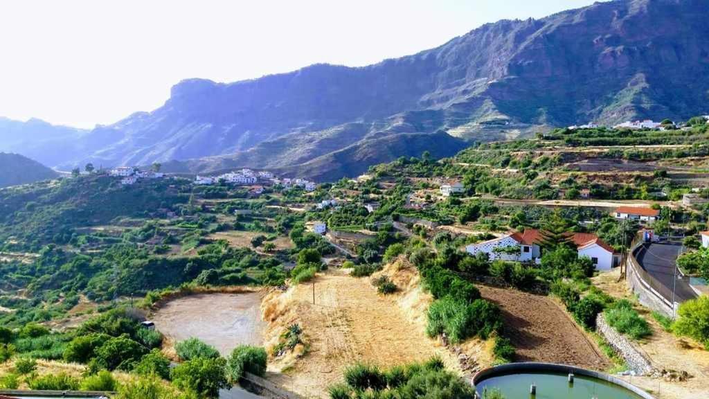 Cascaras Gran Canaria *