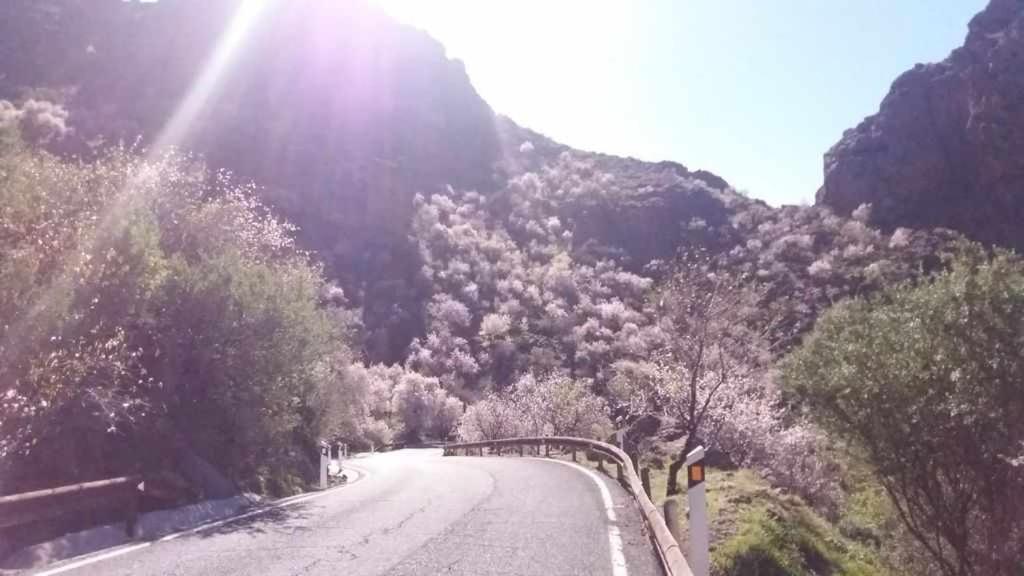 Cascaras Gran Canaria Holiday home *