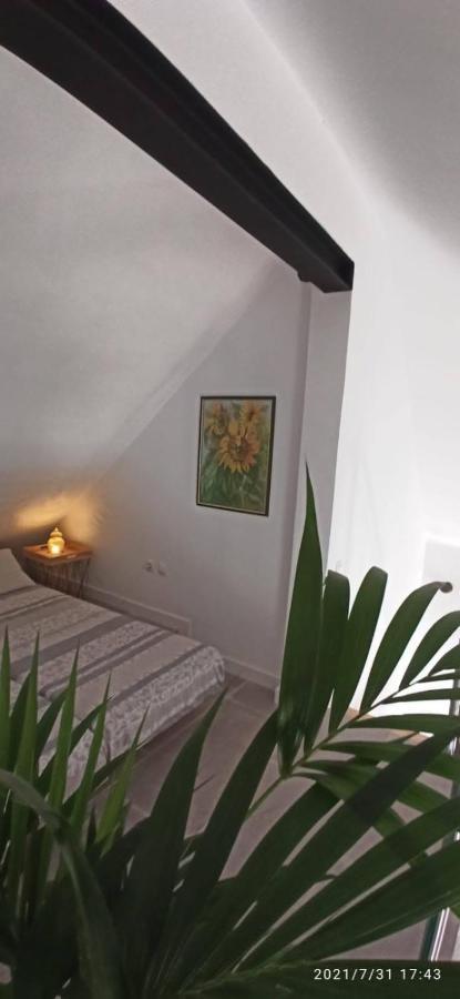 Apartamento La Casita De Juani,leoeser Agaete (Gran Canaria)