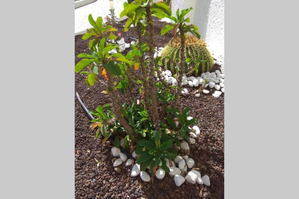 Tucan With Beautiful Views Near Dunes, Fast Fiber Wifi *