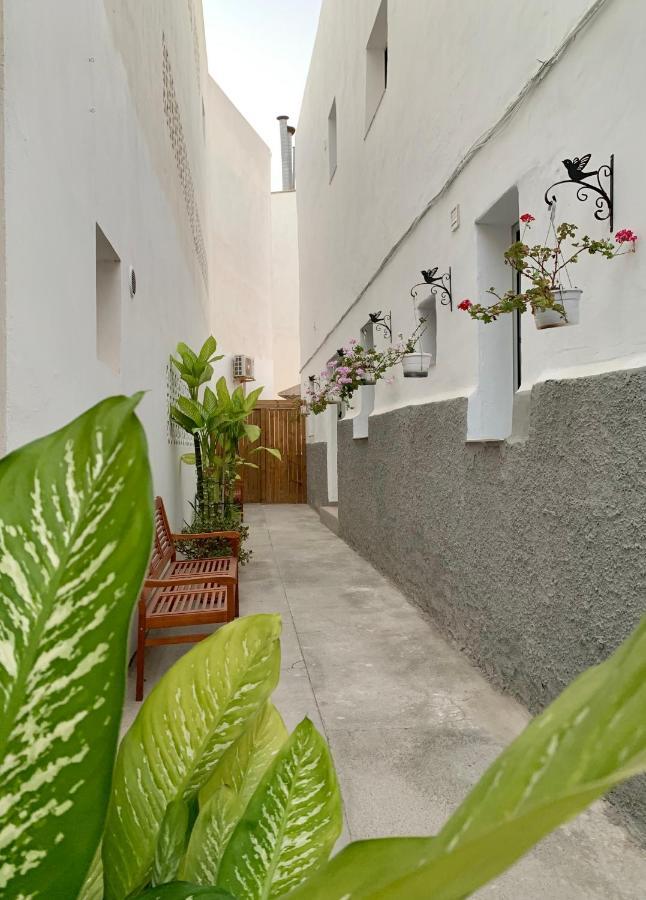 Apartment Lux Solarium Petite
