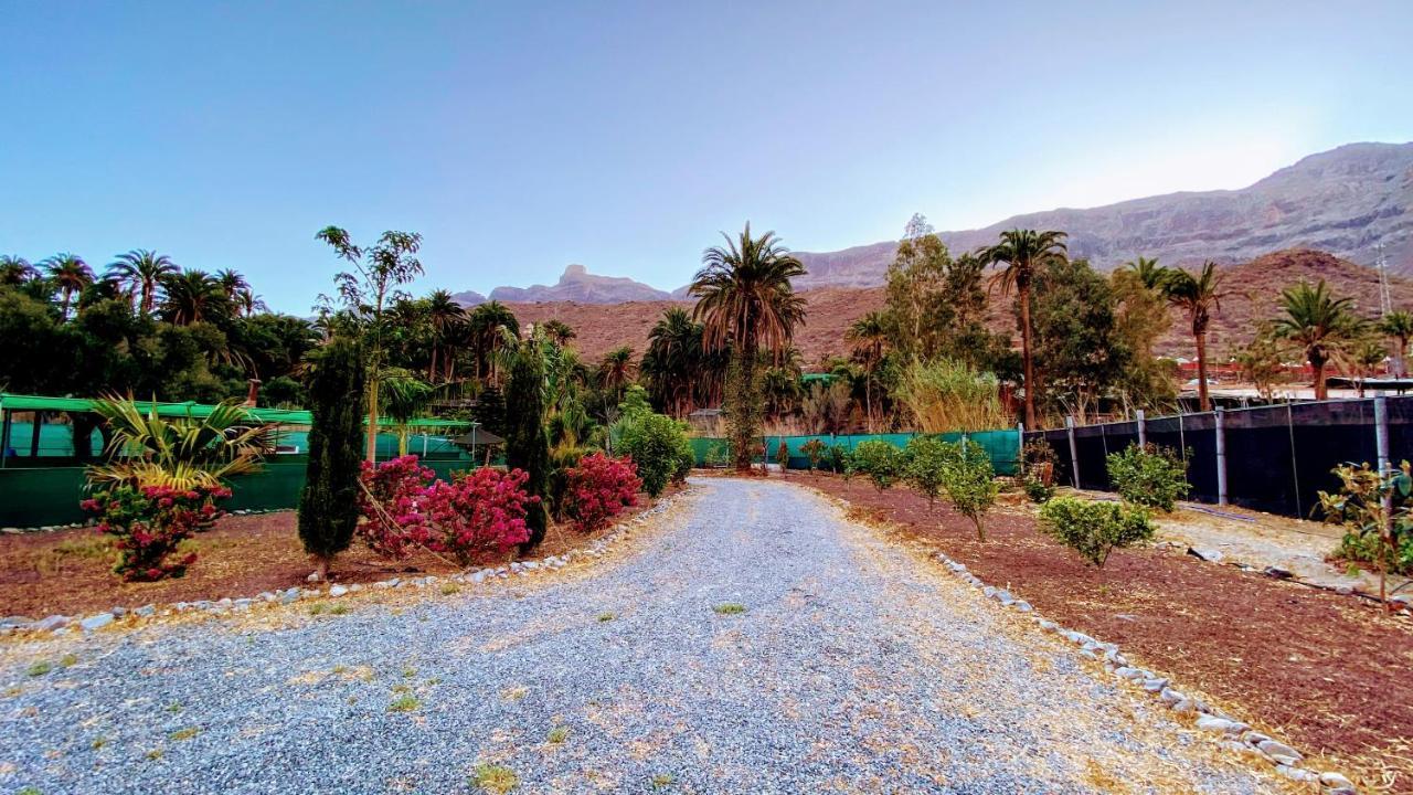 Apartment Finca Laxmi
