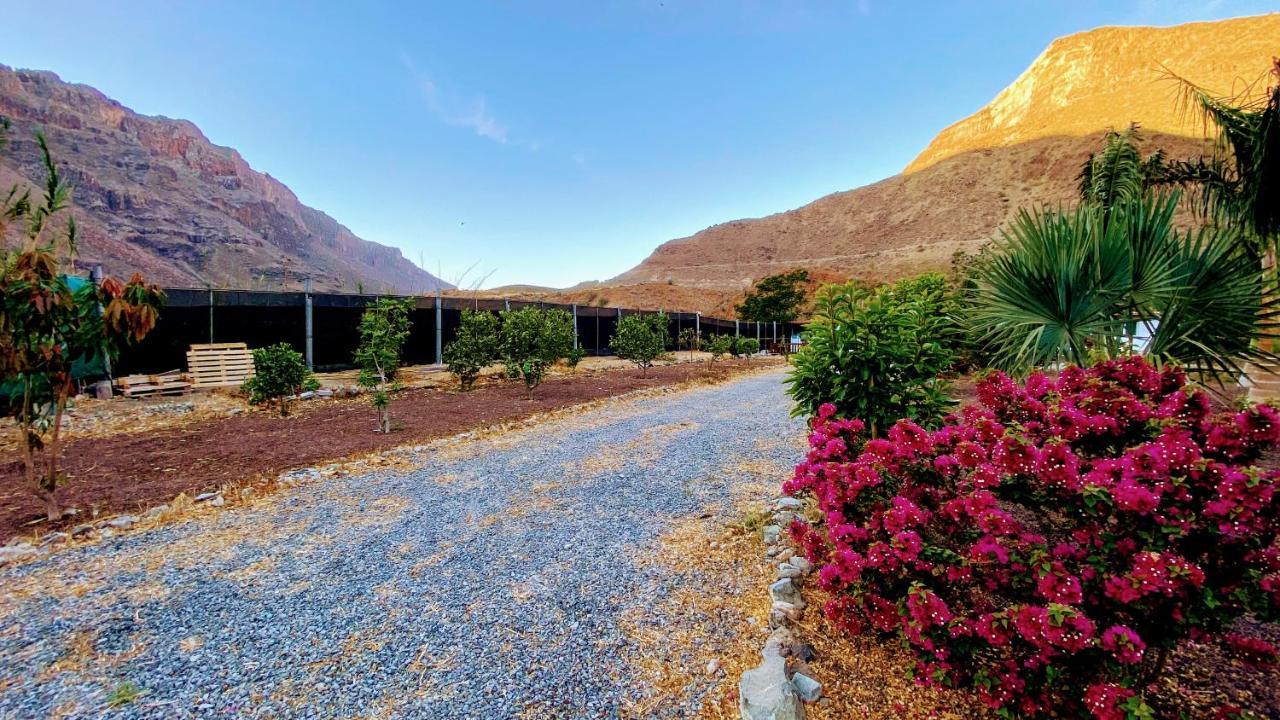 Finca Laxmi Apartment