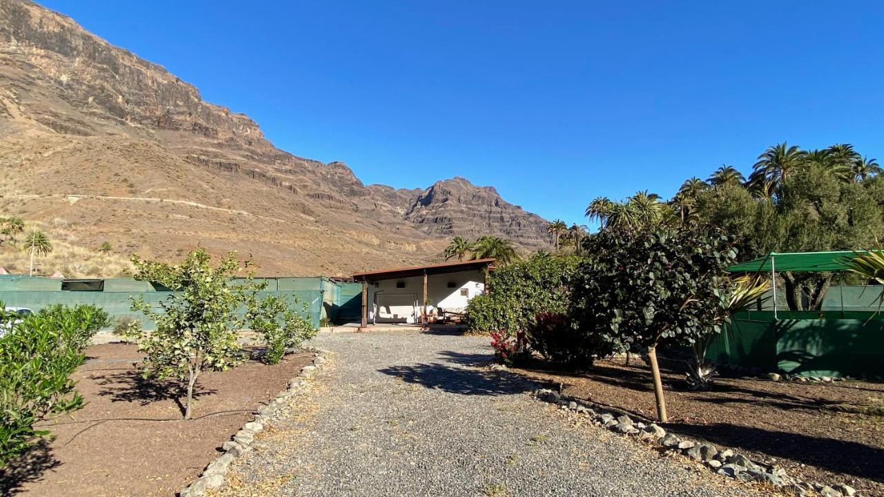 Finca Laxmi