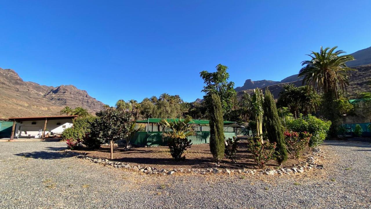 Apartment Finca Laxmi *