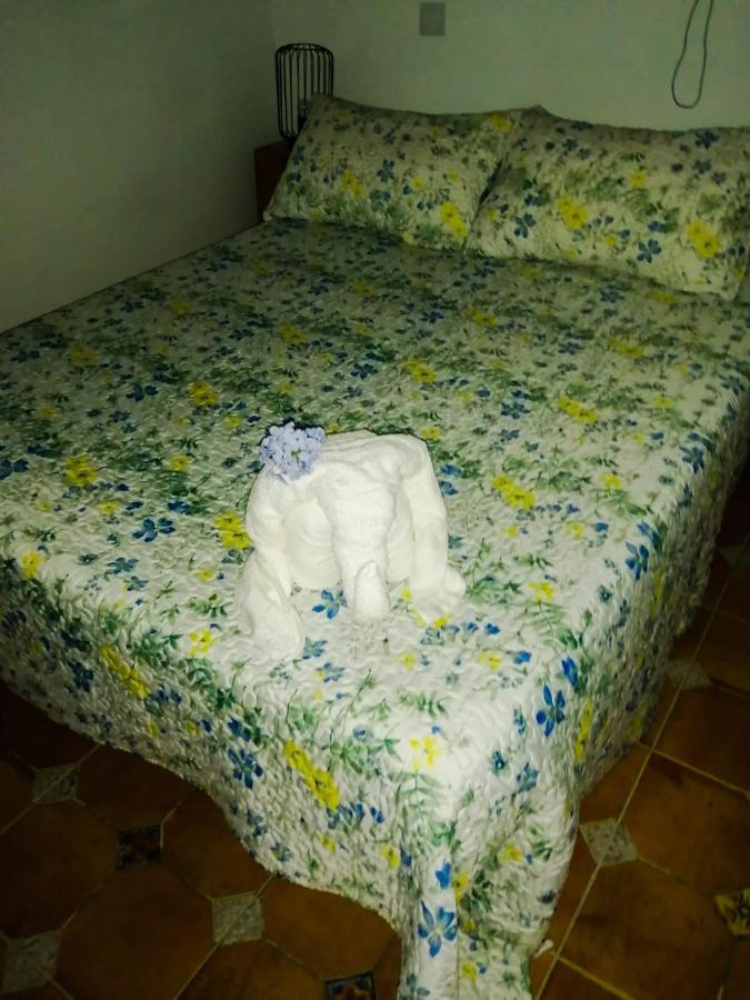 Vivienda Vacacional Folillo * San Nicolás