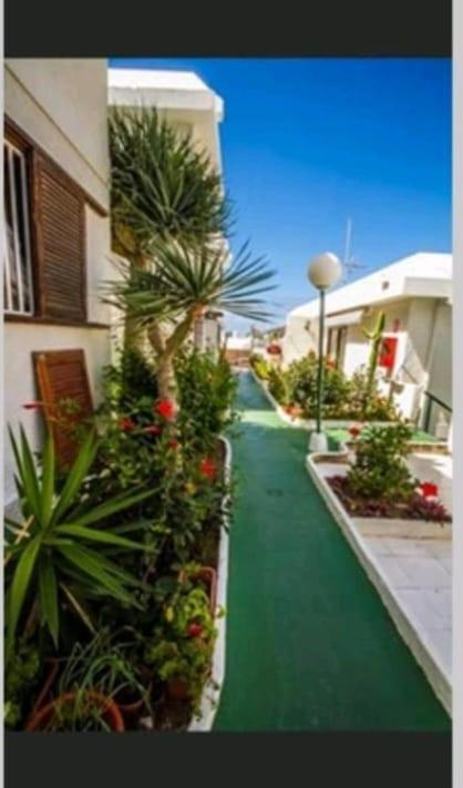 Apartamento Puerto Rico 3