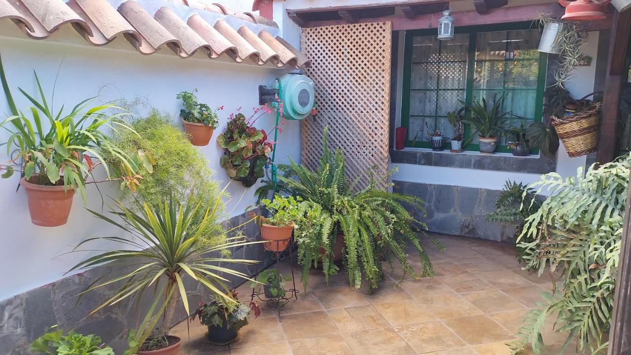 Сasa de vacaciones El Llanete Vega de San Mateo