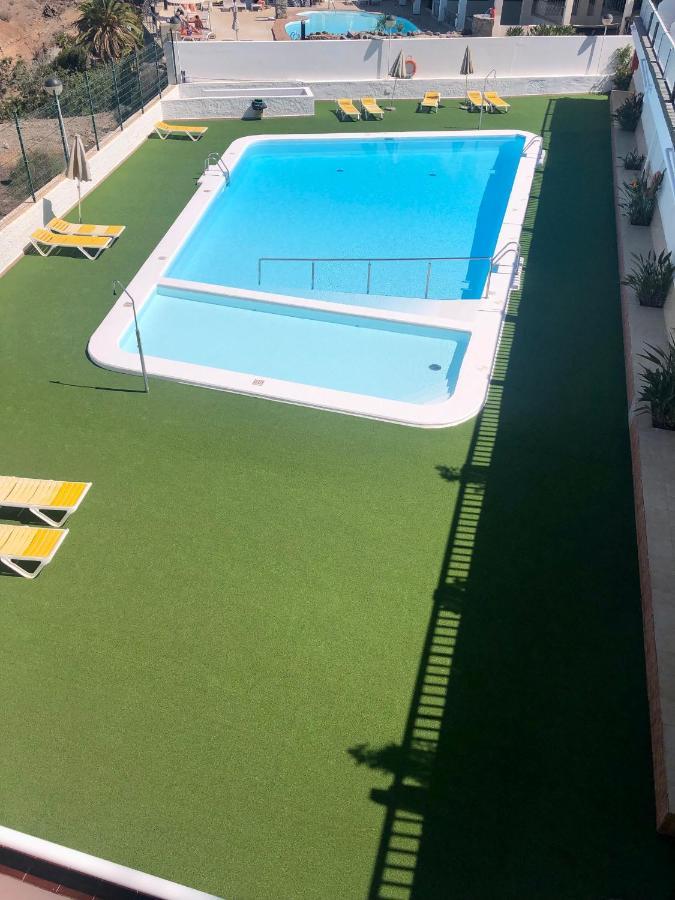 Perla De Apartamento Amadores