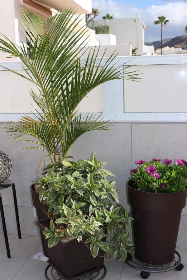 Apartamento Big Sun Terrace Renovated 2-bedroom Luxury Duplex Mogán
