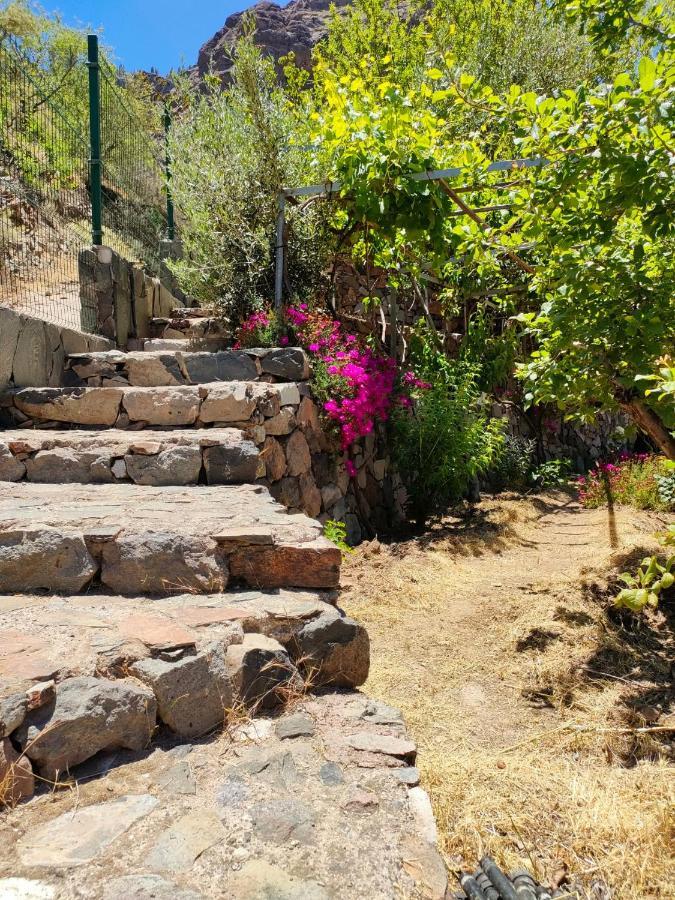 Casita El Parral Casa vacanze Tejeda (Gran Canaria)