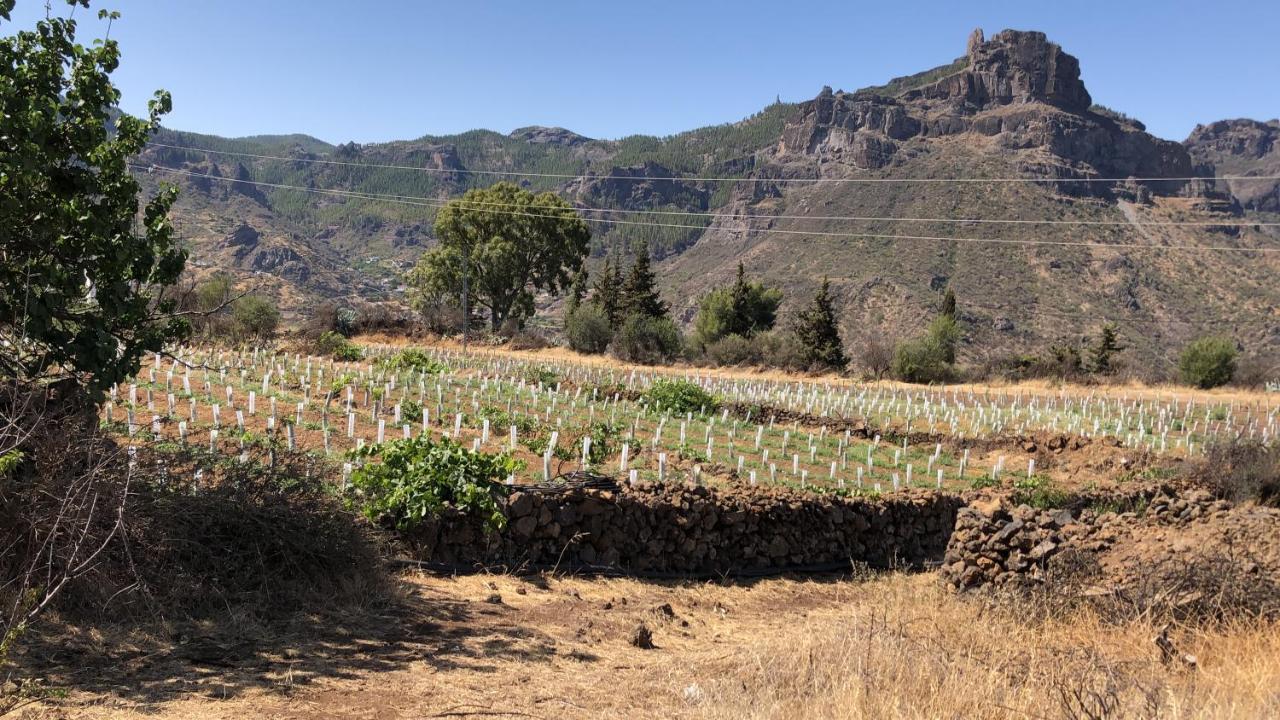 Casa-finca El Maipez De Tejeda * Las Palmas de Gran Canaria