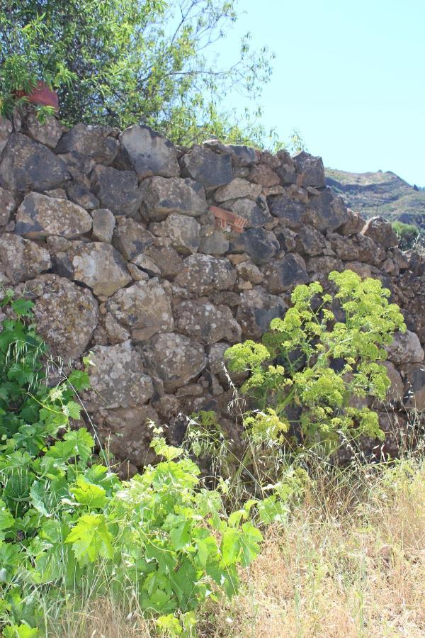 Casa-finca El Maipez De Tejeda *