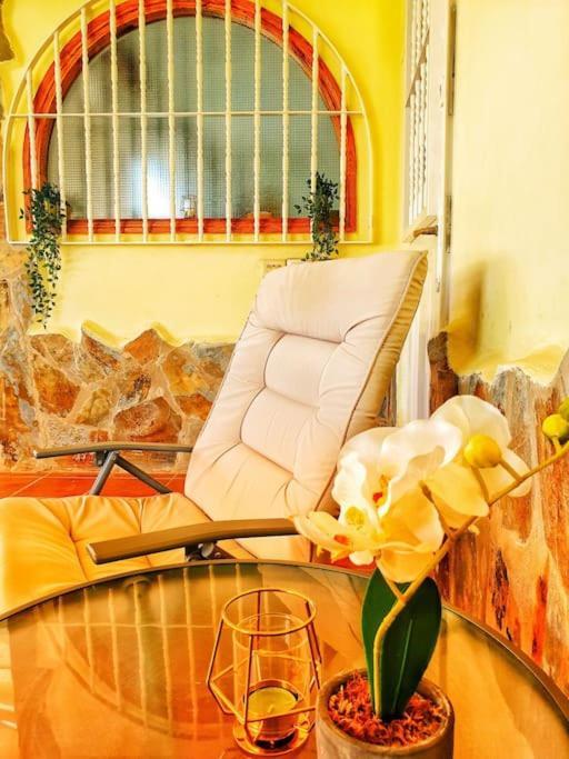 The Perfect Place To Relax Bedroom With Hot Tub, Beautiful Tropical Garden Area. Bbq And Big Open Spaces Through The House.it Is Located In A Quiet Place, But Still 5 Min Away From The Touristic Puerto Rico And Walking Distance From The Apartamento
