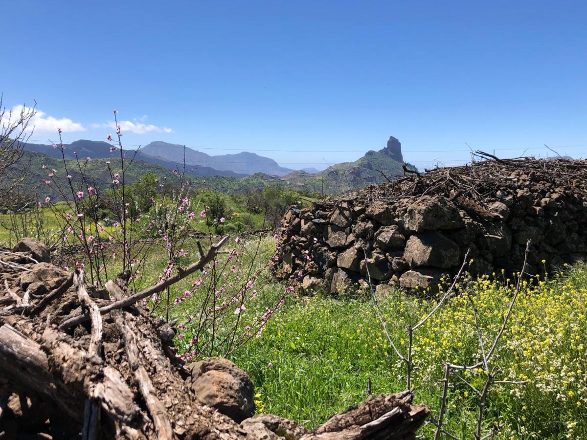 Casa-finca El Maipez De Tejeda Las Palmas de Gran Canaria