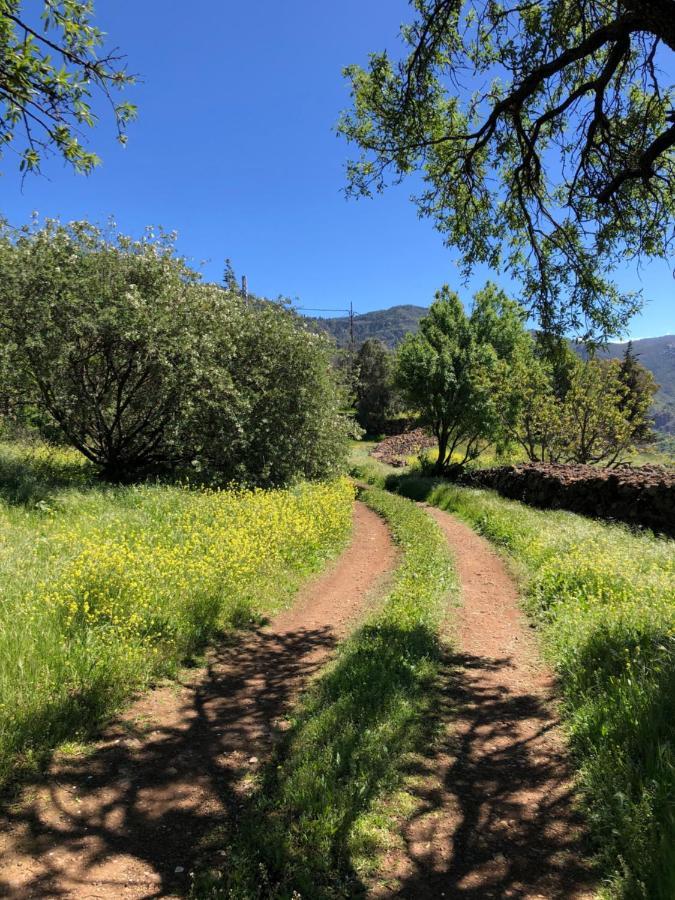 Casa-finca El Maipez De Tejeda Las Palmas de Gran Canaria