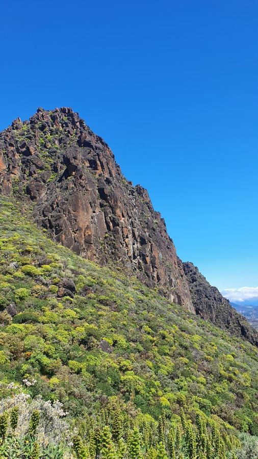Casa Cueva Paquito *