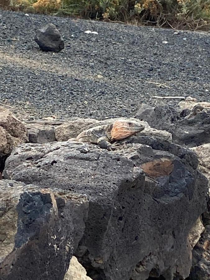 Appartamento El ático Del Mar 5b Las Palmas de Gran Canaria
