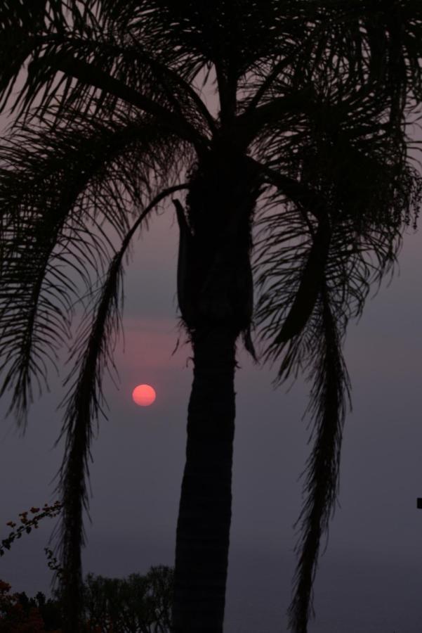 Appartamento Apto. Dulia Puerto Rico (Gran Canaria)