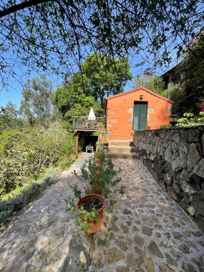 Сasa de vacaciones De Invitados En Medio Del Bosque *