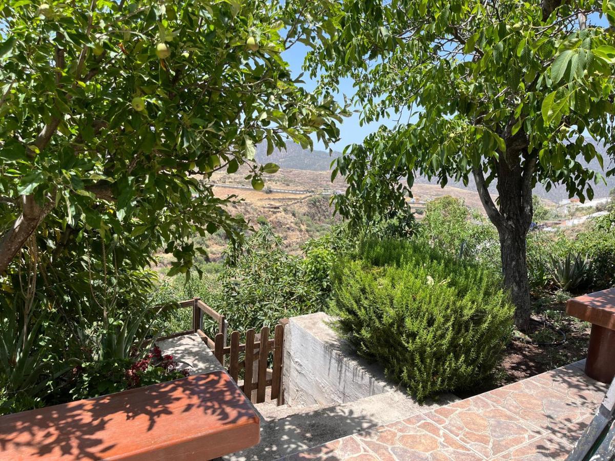 Holiday home Cueva El Retamal